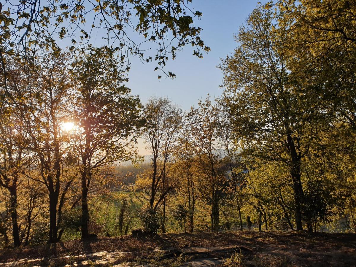 Quinta Das Essencias Penafiel Esterno foto