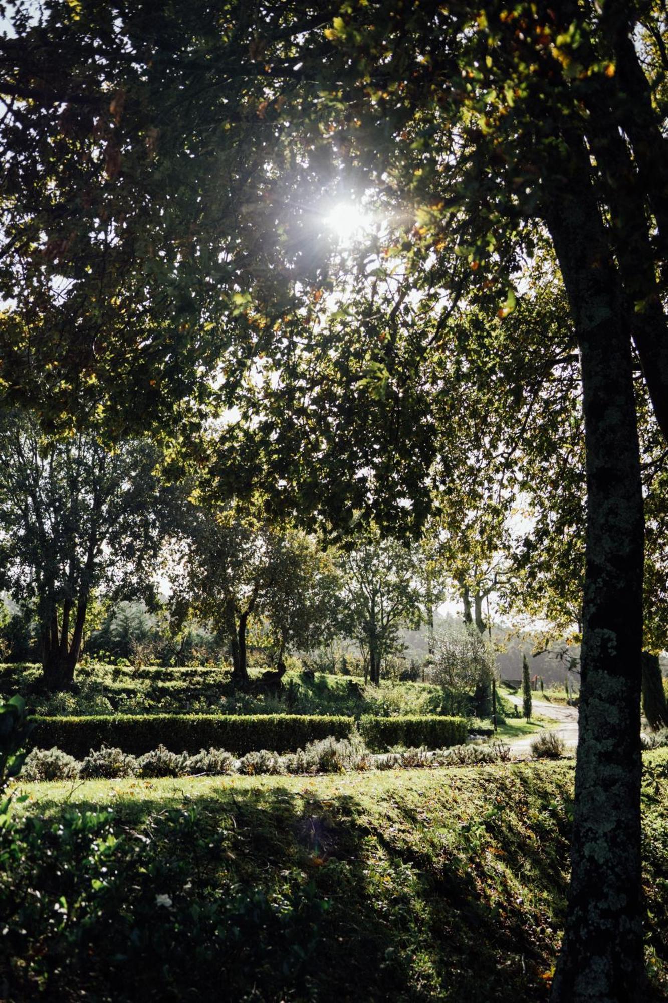 Quinta Das Essencias Penafiel Esterno foto